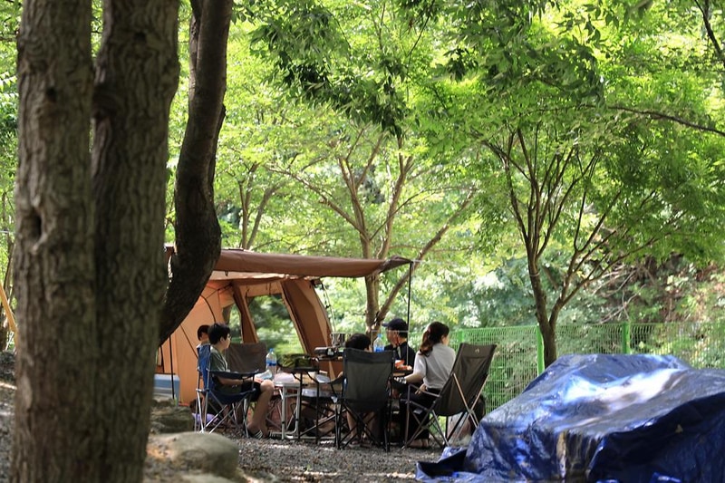맑은물소리캠핑장 시설 사진 6