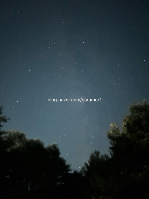 8월 캠핑 | 홍성 용봉산캠핑장 가족캠핑 후기 카라반, 수영장...