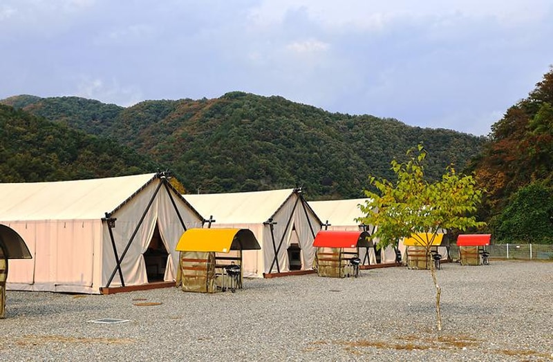 가평자작나무글램핑 대표 사진