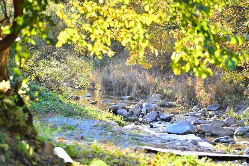 물골삼화힐링타운캠핑장 시설 사진 9