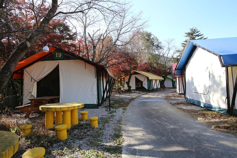 곡성 키즈글램핑 시설 사진 8