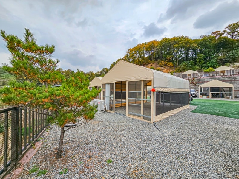 포천 트멍캠핑장 찐단골 자세한 후기