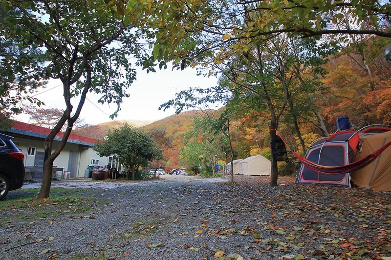 월계수 캠핑장 시설 사진 12