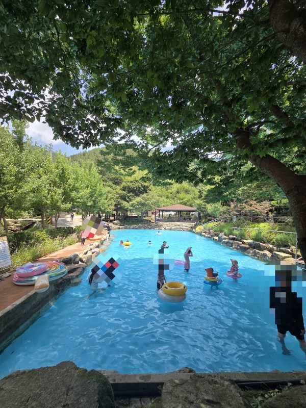 전북 정읍 자두마을캠핑장. 수영장 있는 키즈캠핑장....