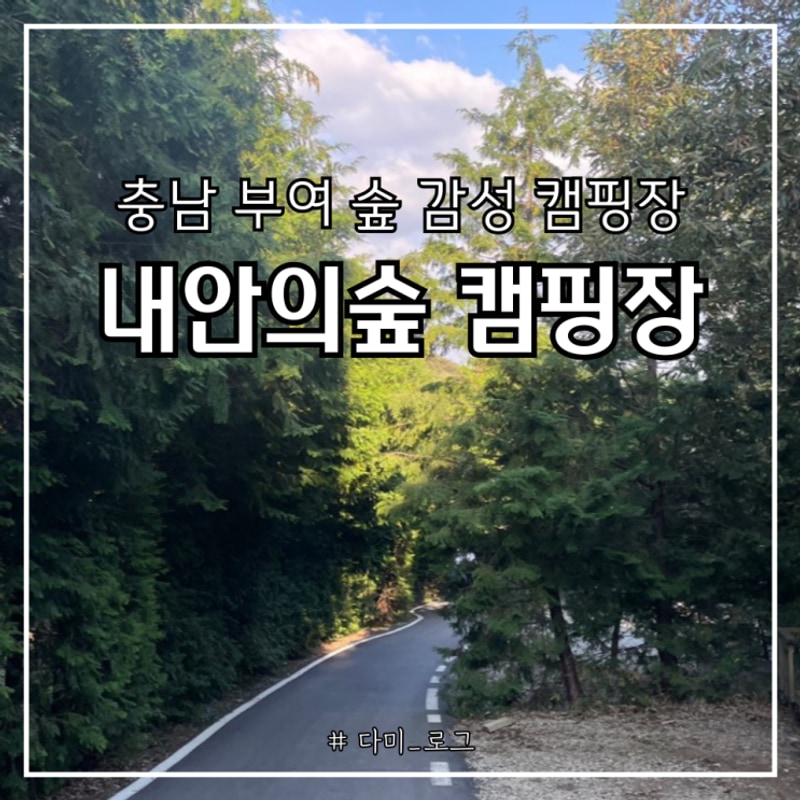 충남 부여 프라이빗한 숲 속, 내 안의 숲 캠핑장