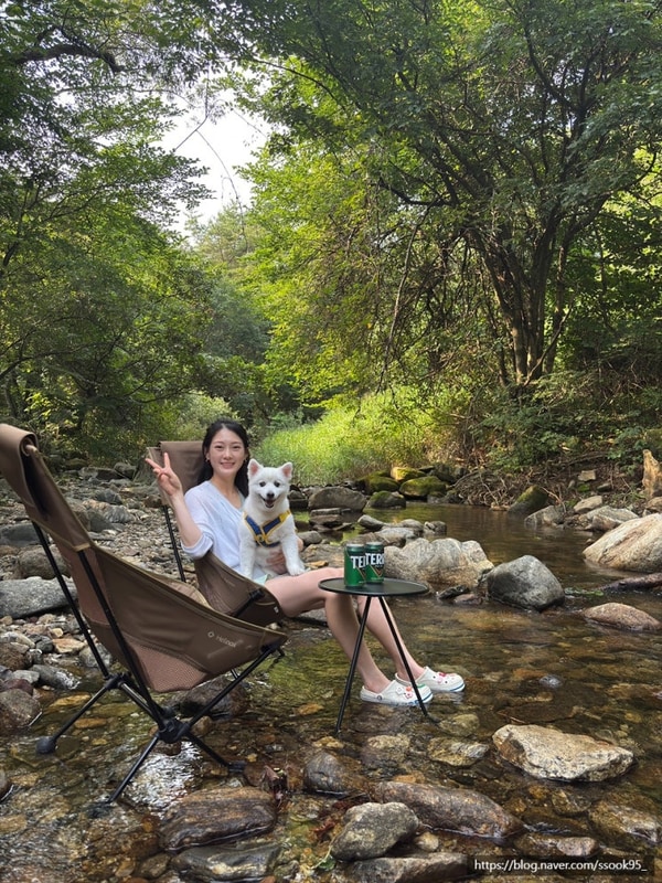 시원한 애견동반 계곡캠핑ㅣ나무그늘이 있는 제천 덕동골캠핑장