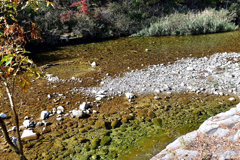 백자동 캠핑장 시설 사진 5