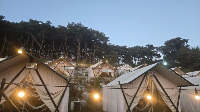 서산바베큐 고든남 글램핑｜가격·주차·이용시간 한눈에