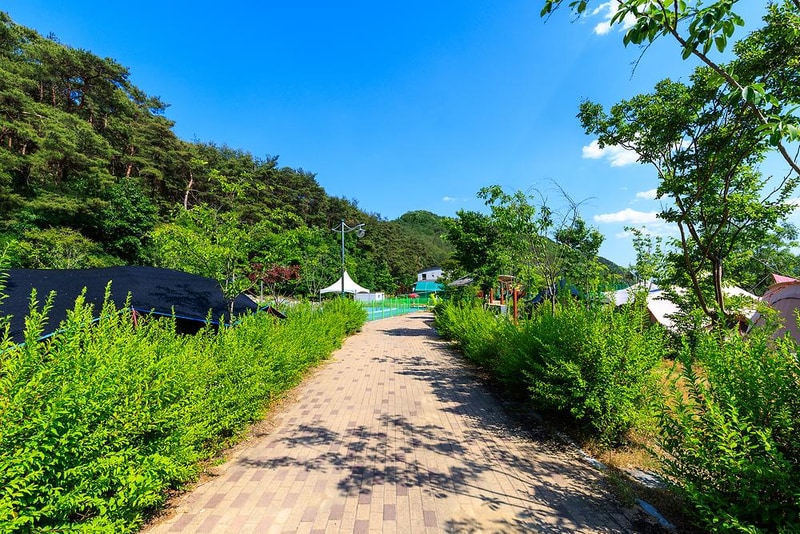 남작골 농촌체험휴양마을 야영장 시설 사진 9