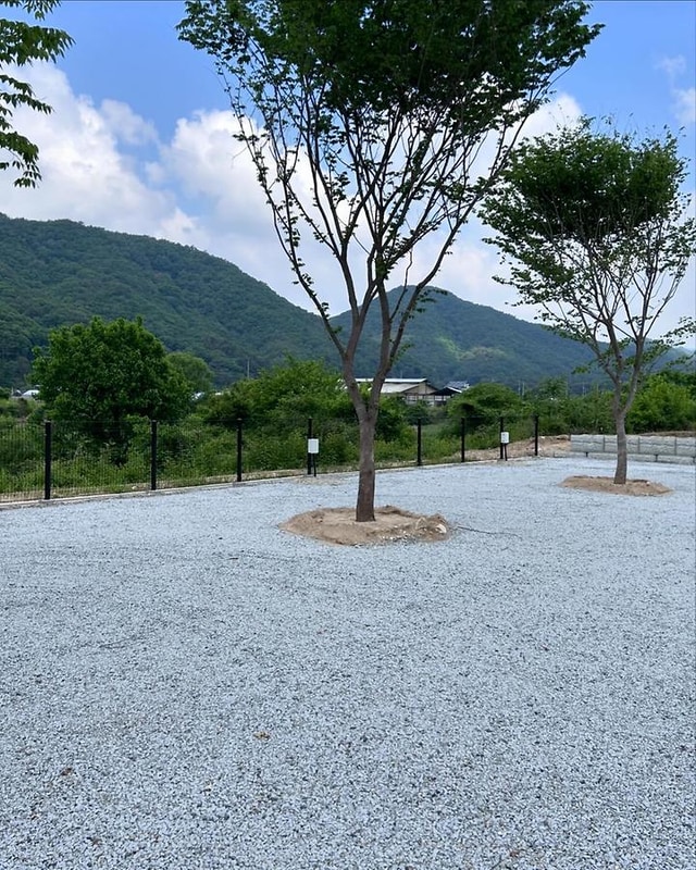 봄이네 캠핑장 대표 사진