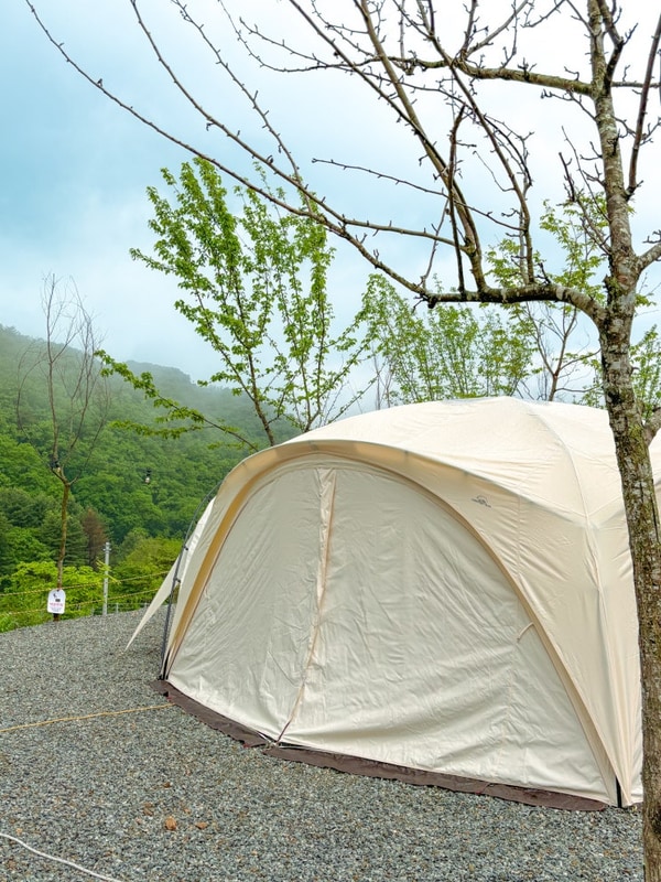 넓고 깨끗한 애견 동반 캠핑장 홍천 오도치캠핑장