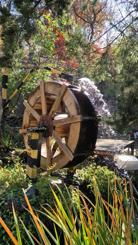 서울근교캠핑장 탐방 바베큐... 다 되는 안양 산마을캠핑장 후기