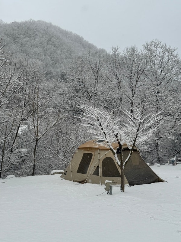 역대급 설중캠핑. 너무 좋았던 가평 캠핑장 '캠핑679' 후기!