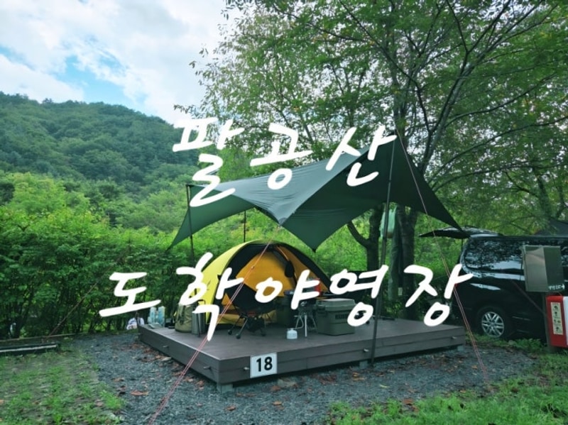 [대구] 도시에 가까운  자연 속 힐링 캠핑장,팔공산 도학야영장
