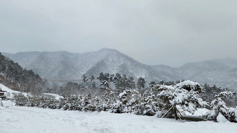 서울근교캠핑 강원 횡성 신설캠핑 새말캠핑장 설캠 풀타프존