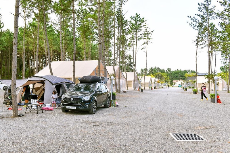 신두리정원오토캠핑야영장 시설 사진 4