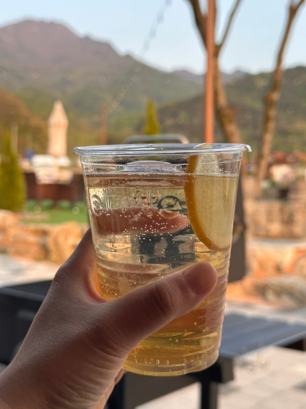 원주시청점, 그리고 힐링이 함께한 카페 파인과 라하글램핑...