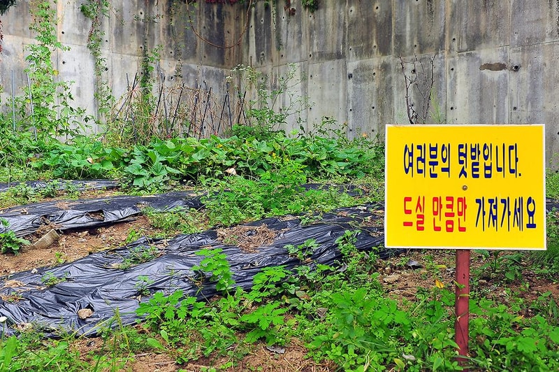 산촌오토캠핑장 시설 사진 5