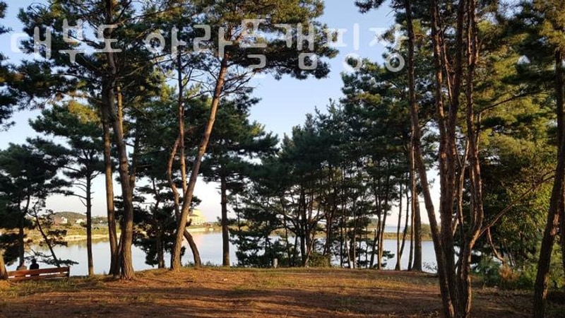 서해갯벌체험 대부도 아라뜰캠핑장  경기도가볼만한곳...