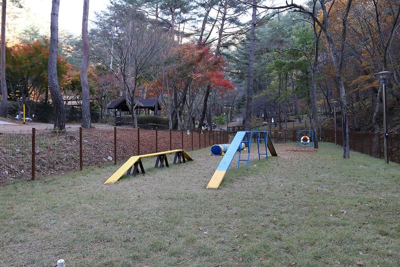 국립검마산자연휴양림 시설 사진 5