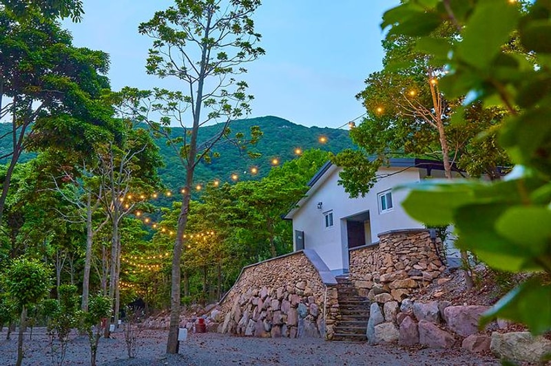 진도 카멜리아 힐즈 오토캠핑장 대표 사진