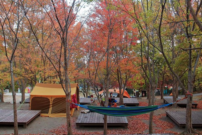 함허동천야영장 대표 사진