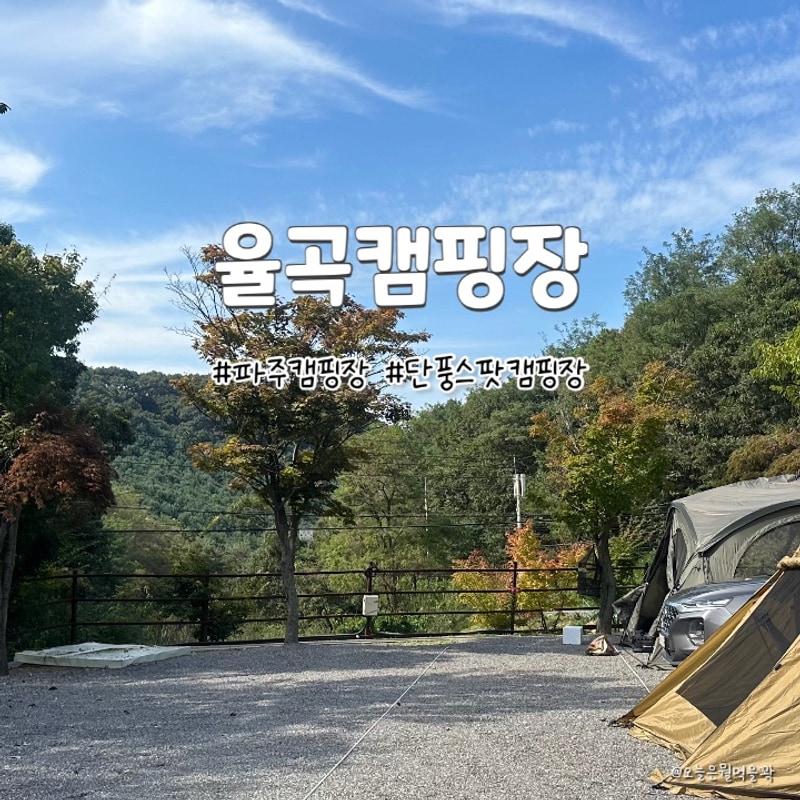 [C.05] 가을에 다녀오기 좋은 파주캠핑장 율곡캠핑장 (별채2)
