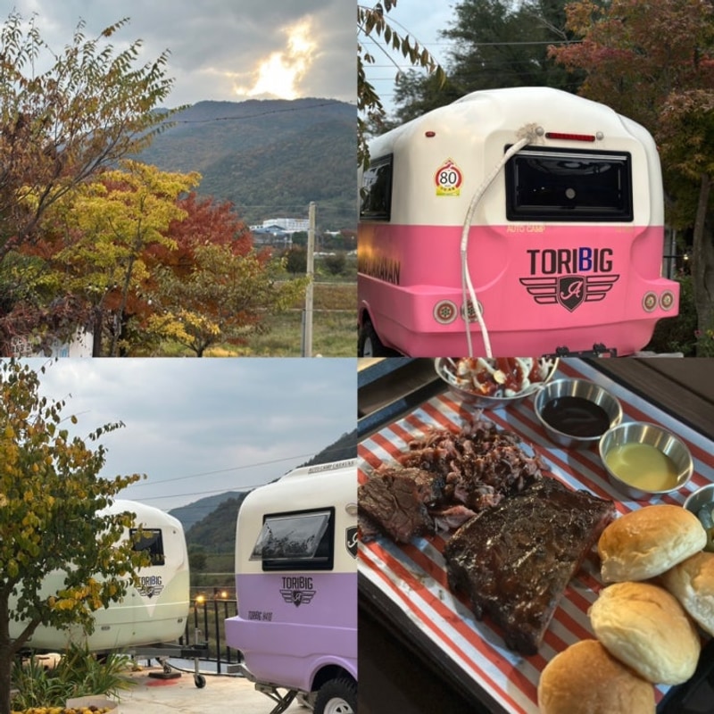 청도글램핑 경북글램핑 애견동반 청도텍사스펜션