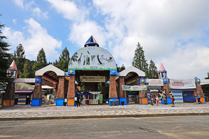 더패밀리 주식회사 시설 사진 11