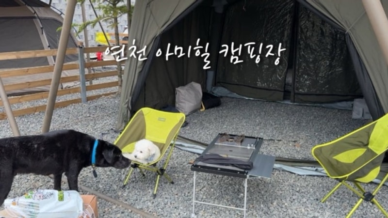 연천 아미힐 캠핑장 애견동반 후기