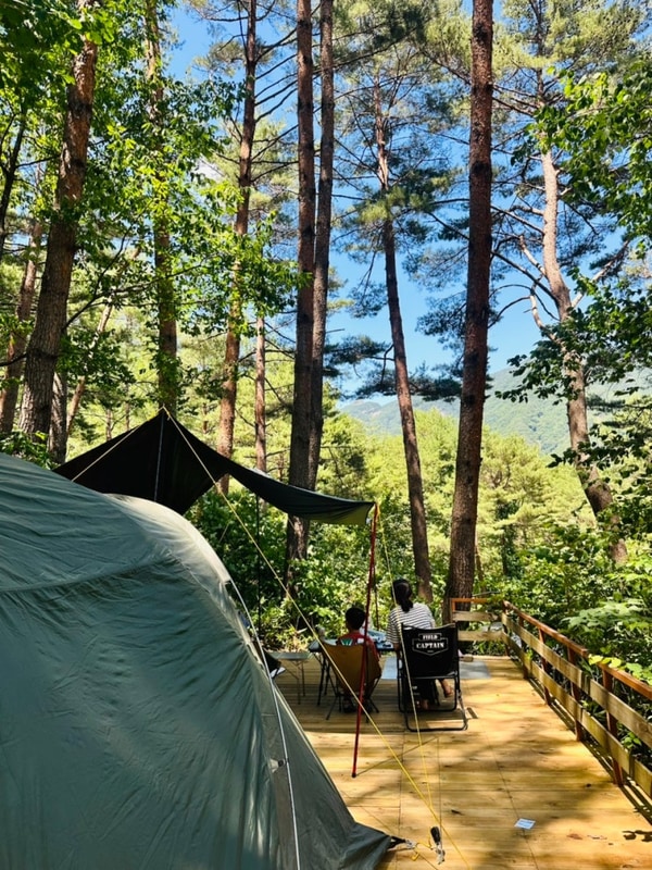 인제캠핑타운 강원도 캠핑장 사이트 명당 자세한 정리