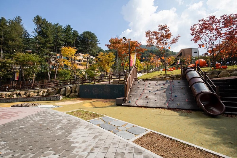 동두천 자연휴양림 시설 사진 14