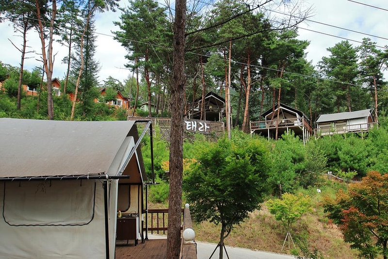 태라 글램핑 시설 사진 13