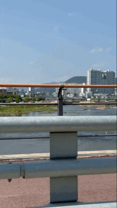 전남 애견동반 글램핑장 추천! 장흥 땡땡이 글램핑