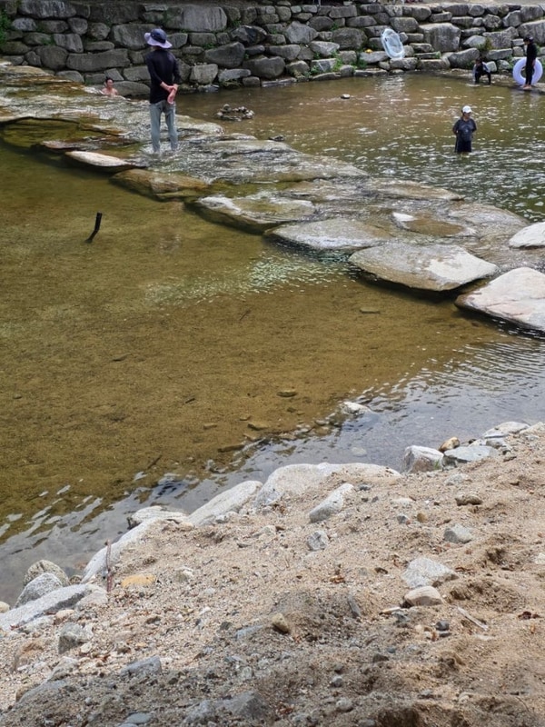 아이들과 함께 다녀온 팔공산평상대여, 군위 솔밭야영장 후기