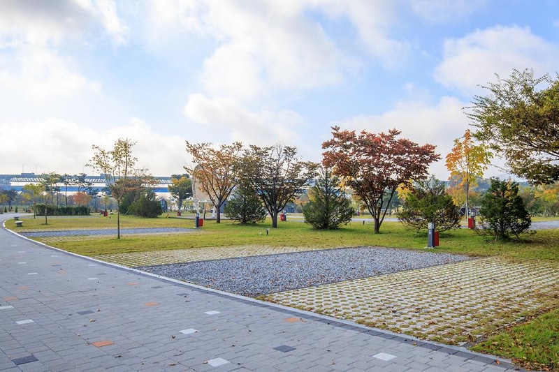 충주 목계솔밭 캠핑장 시설 사진 10