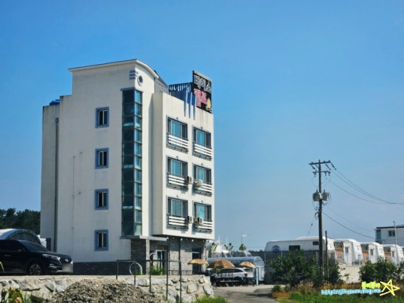 강릉 애견동반 숙소 가성비 있는 베이스캠프 펜션 내돈내산