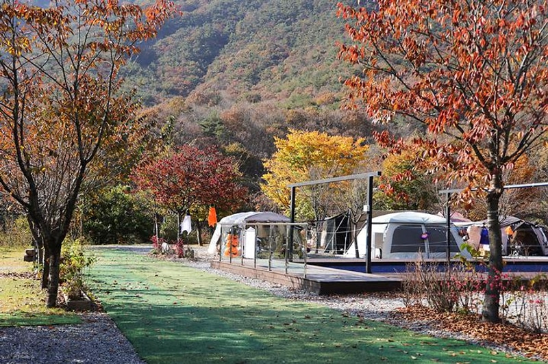 캠프원 대표 사진