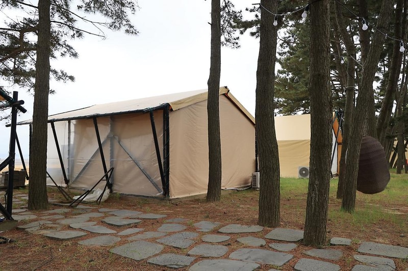 청포대솔밭야영장 시설 사진 12