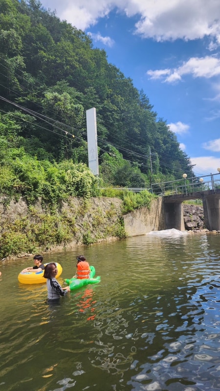 여름의 시원함, 가을의 설렘 – 영월 예그리나숲 캠핑장