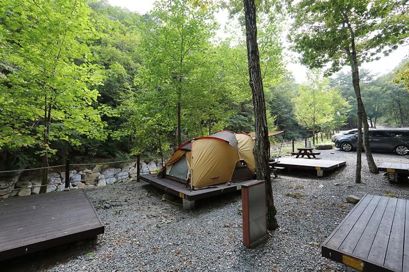 국립황정산자연휴양림 대표 사진