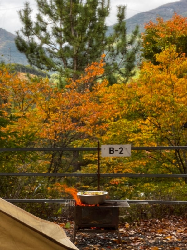 [밀양/캠핑] 찐으로 만족했던 여자솔캠 단풍캠 "밀양옥샘캠핑장...