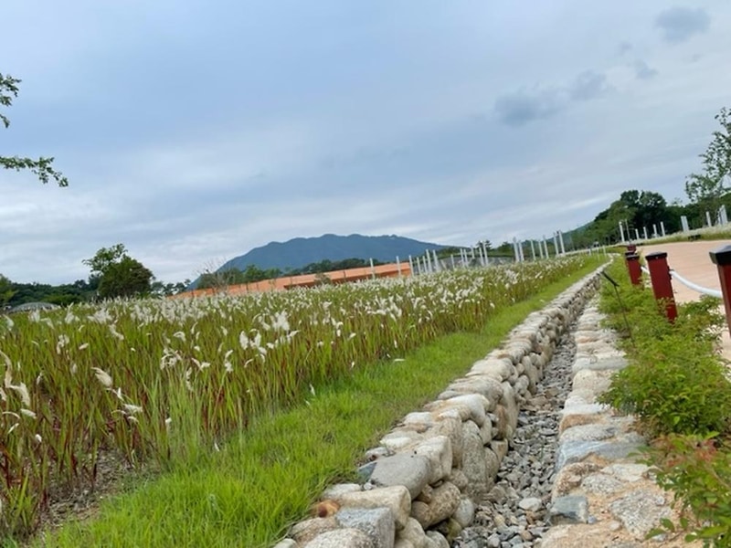 동학농민혁명 기념공원 녹두장군 캠핑장 시설 사진 4