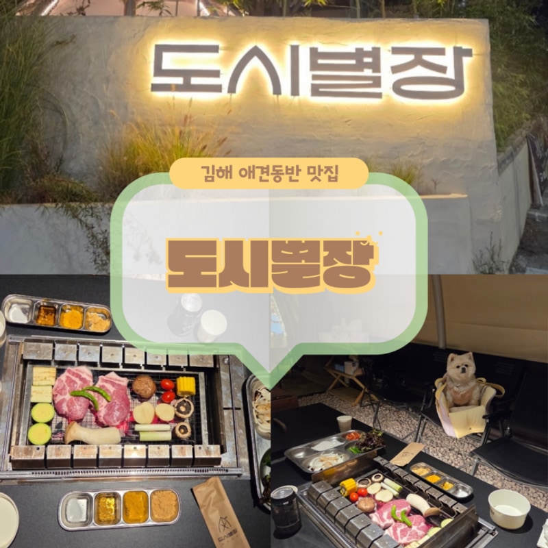 애견동반 가능한 캠핑 분위기 부원역맛집 김해 도시별장