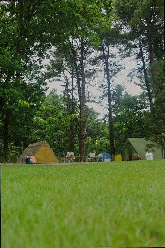 [포천 캠핑장] 타이니포춘 프라이빗 캠핑의 매력