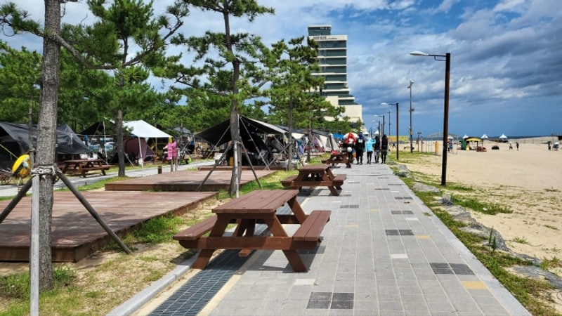 고성 송지호해수욕장 앞 오호캠핑장 해변 캠핑장으로 가볼만한곳