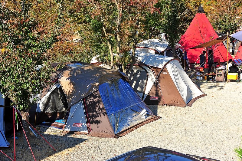 고성 장좌리 캠핑장 시설 사진 15