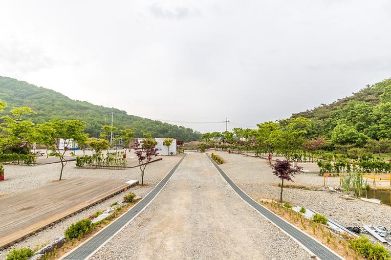 어망골 캠핑장 대표 사진