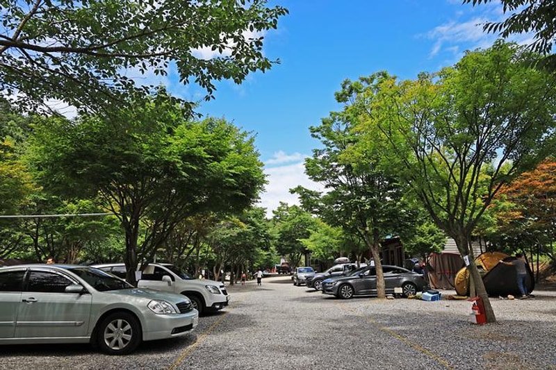 맑은물소리캠핑장 대표 사진