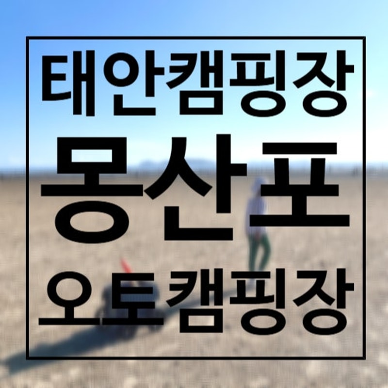 태안 몽산포오토캠핑장 1구역, 태안 선착순 갯벌체험 캠핑장 후기